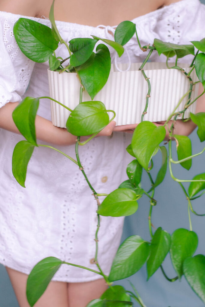 Woman holds pothos plant with white, eyelet dress to express ethical and sustainable fashion